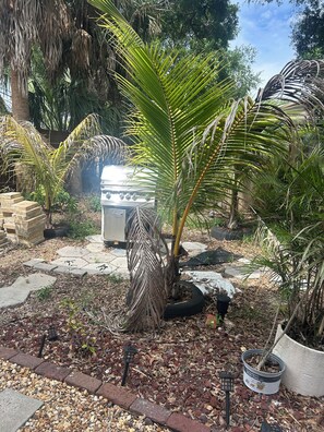 Ein Garten mit Palmen, einem Grill und einem Blumentopf.