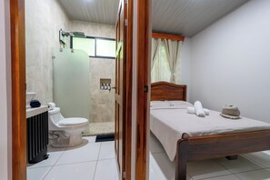 Chuveiro, secador de cabelo, toalhas de banho, sabonete