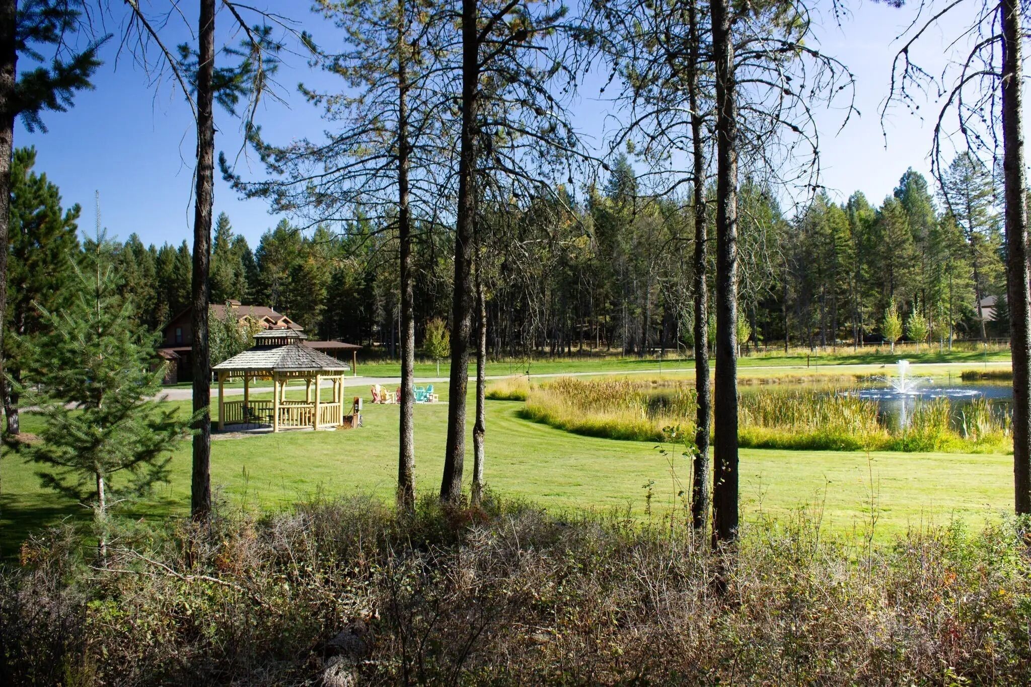 A golf course with a gazebo, a pond, and surrounding trees.