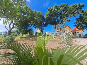 A garden with various trees and a building with a dome-shaped roof.