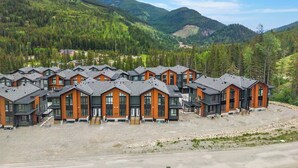 A row of modern, multi-story cabins with large windows, set against a backdrop of forested mountains.