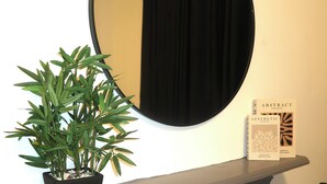Une plante en pot, un miroir et deux livres posés sur la cheminée.