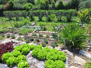 Property grounds - Bed and Breakfast - Bastide de Marie - Grasse - Pool (Grasse)