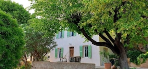 Exterior - Bed and Breakfast - Bastide de Marie - Grasse - Pool (Grasse)