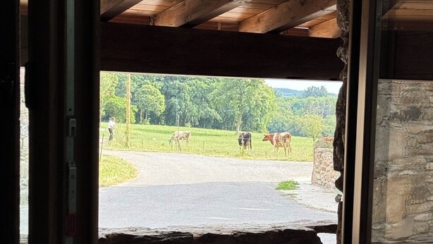 A rustic room with a stone wall and wooden ceiling, a view of a rural landscape with cows, and a partially open door.