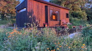 Una casetta di legno con un'ampia finestra, immersa in un giardino pieno di fiori e piante.