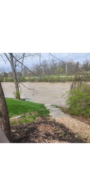Property grounds - Cozy Cottage by the Olentangy river! (Delaware)