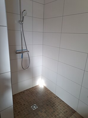 シャワー、ヘアドライヤー、石鹸、トイレットペーパー