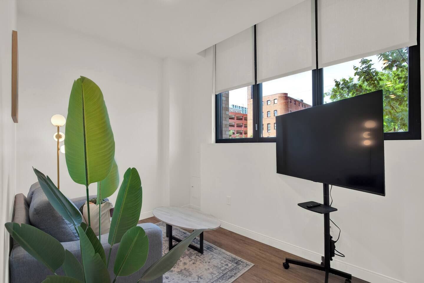 Un saló modern amb un gran televisor de pantalla plana, un sofà, una taula de centre i una planta verda gran.