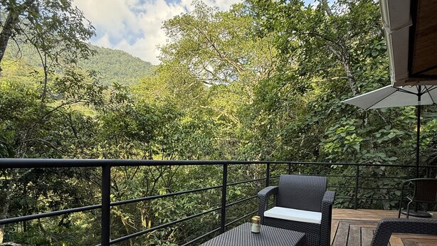 Eine Terrasse mit Korbmöbeln und Blick auf einen üppigen Wald.