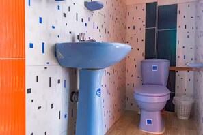 Serviettes fournies, savon, papier toilette