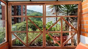 Una habitación con un ventanal grande, pared de ladrillo y vistas a zonas verdes y edificios.