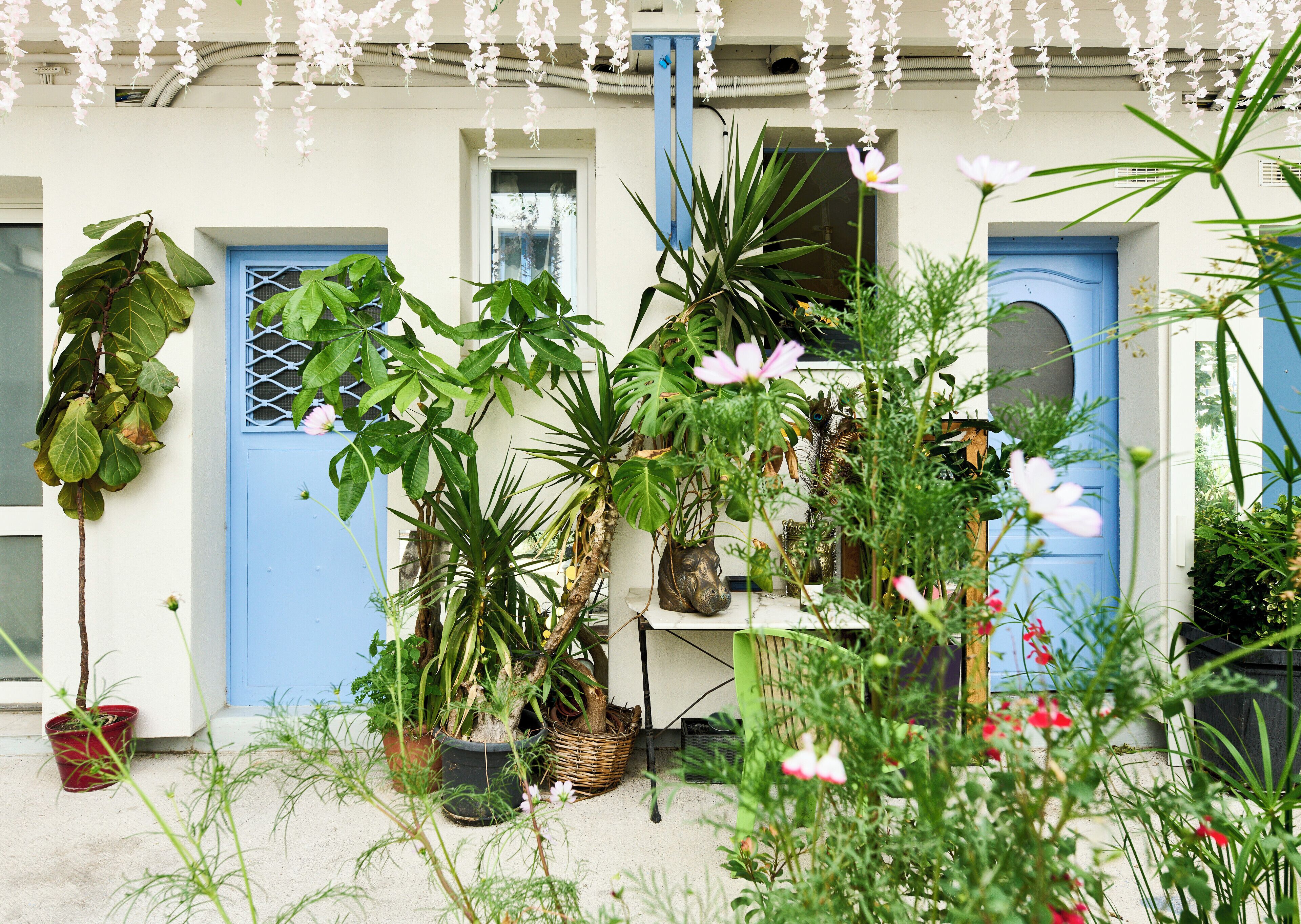 Une cour intérieure agrémentée de plantes en pot et dotée d’une porte bleue, le tout entouré de fleurs suspendues.