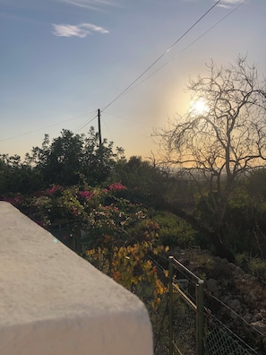 A garden with flowering plants and a fence. - Monte das Oliveiras - Private Villa with Pool (Faro)