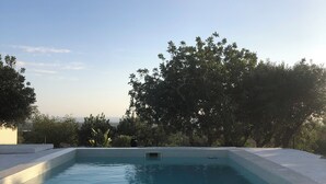 A rectangular swimming pool with a tiled edge, surrounded by trees and a clear sky.