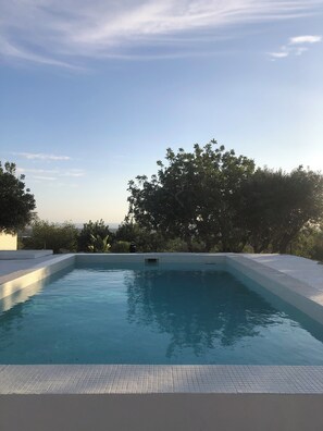 A rectangular swimming pool with a tiled edge, surrounded by trees and a clear sky.