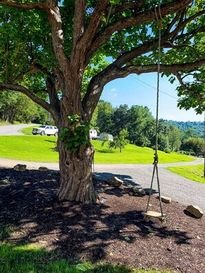 Ein großer Baum mit einer Schaukel in seinen Ästen, ein Kiesweg und eine Rasenfläche, auf der ein weißes Auto geparkt steht.