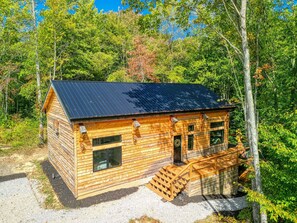 Eine Holzhütte mit einem Metall-Dach, umgeben von Bäumen.