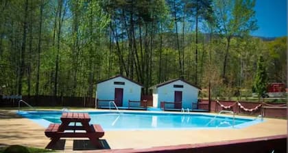Tiny Home-Cabin near Helen Ga.Lake/Beach/Pools/Playgrounds/Diner/Putt Putt/Sauna