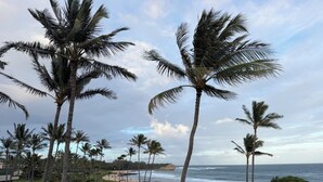 A coastal view with palm trees, a beach, and the ocean. - Walk to Poipu Beach, Grand Hyatt & Brennecke's/Poipu Kai Charming Condo (Koloa)