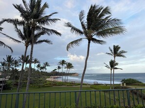 Property grounds - Walk to Poipu Beach, Grand Hyatt & Brennecke's/Poipu Kai Charming Condo (Koloa)