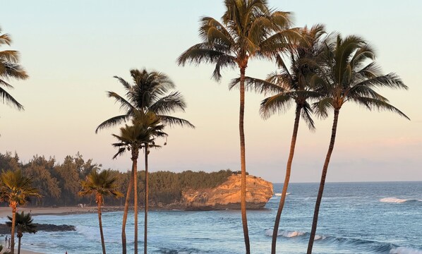 A beach with palm trees and a rocky cliff in the background. - Walk to Poipu Beach, Grand Hyatt & Brennecke's/Poipu Kai Charming Condo (Koloa)
