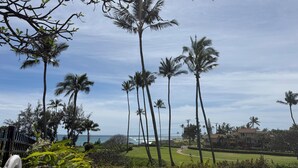 A view of a well-maintained lawn with tall palm trees, a clear sky, and a distant building. - Walk to Poipu Beach, Grand Hyatt & Brennecke's/Poipu Kai Charming Condo (Koloa)