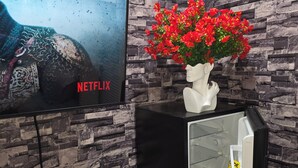 A room with a stone-patterned wall, a television displaying a Netflix logo, a white vase with red flowers, and a globe on a white shelf. - Alimot Spa House:Private INDOOR Hot Tub  Near SU & Downtown  Named for My Mother (Syracuse)