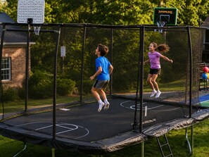 Sports court - Lake Norman, Pool, Golf Simulator, Sauna, Hot tub, Pickleball/Basketball, EV Chg (Mooresville)
