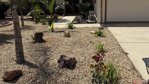 Um imóvel residencial com calçada pavimentada, garagem e jardim ajardinado com diversas plantas e uma palmeira.
