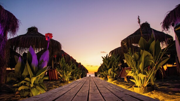 A wooden pathway leading to a beach area with thatched-roof structures and tropical plants.