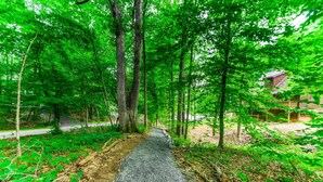 A forest path leading to a building with a sloped roof. - Lakeside log Home With a Private Deck, Wifi, Firepit, Central AC, & Washer/dryer (Mineral)