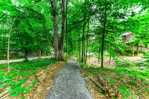 A forest path leading to a building with a sloped roof.
