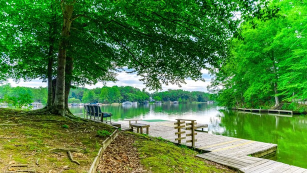 A lakeside park with a wooden dock, benches, and a tree providing shade. - Lakeside log Home With a Private Deck, Wifi, Firepit, Central AC, & Washer/dryer (Mineral)
