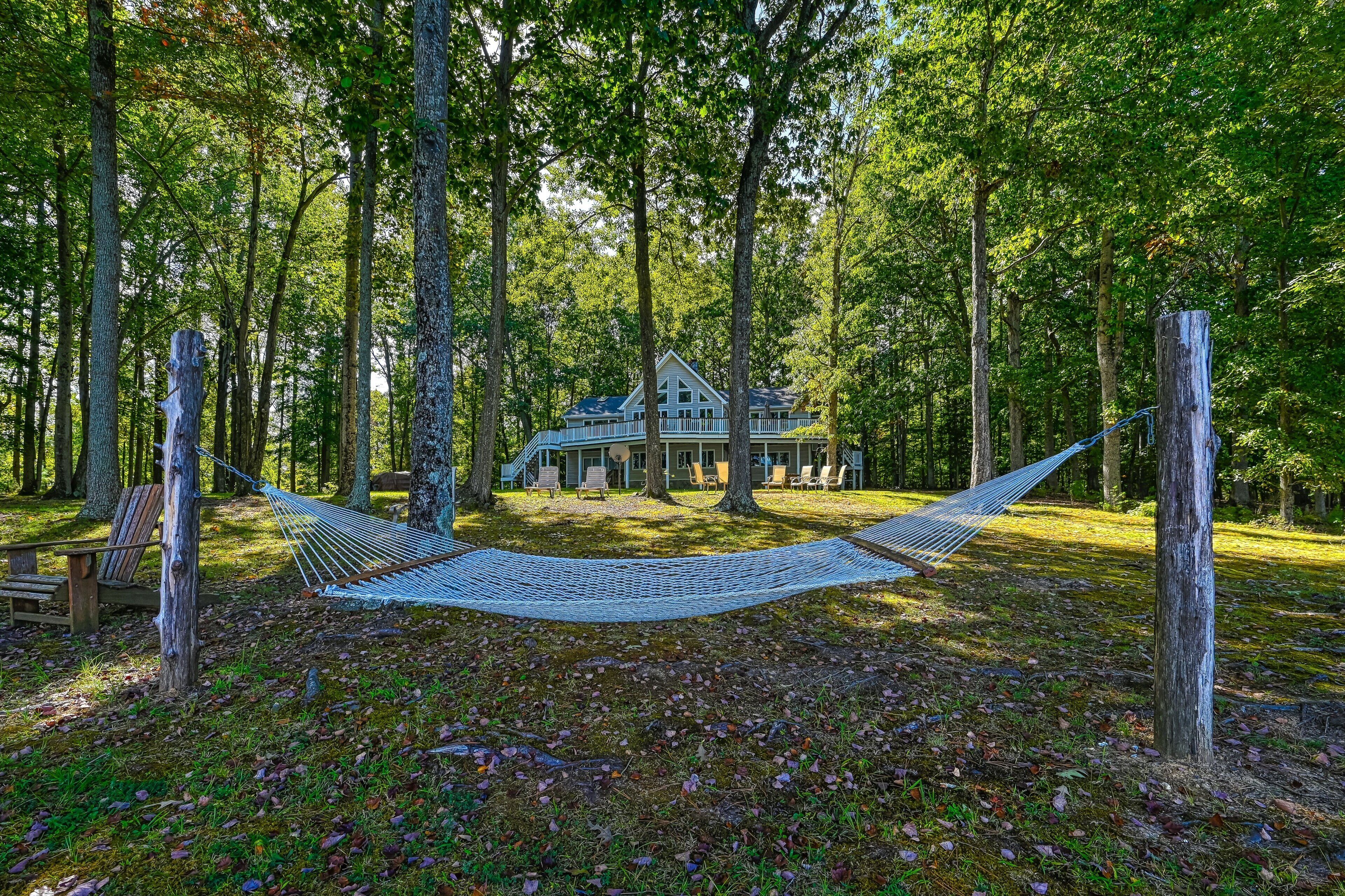 A hammock in a forest with a house in the background.