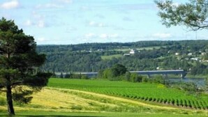 A rural landscape with a vineyard, a bridge, and a body of water in the background. - Ja-Sa-Le Motel (Bubartown)