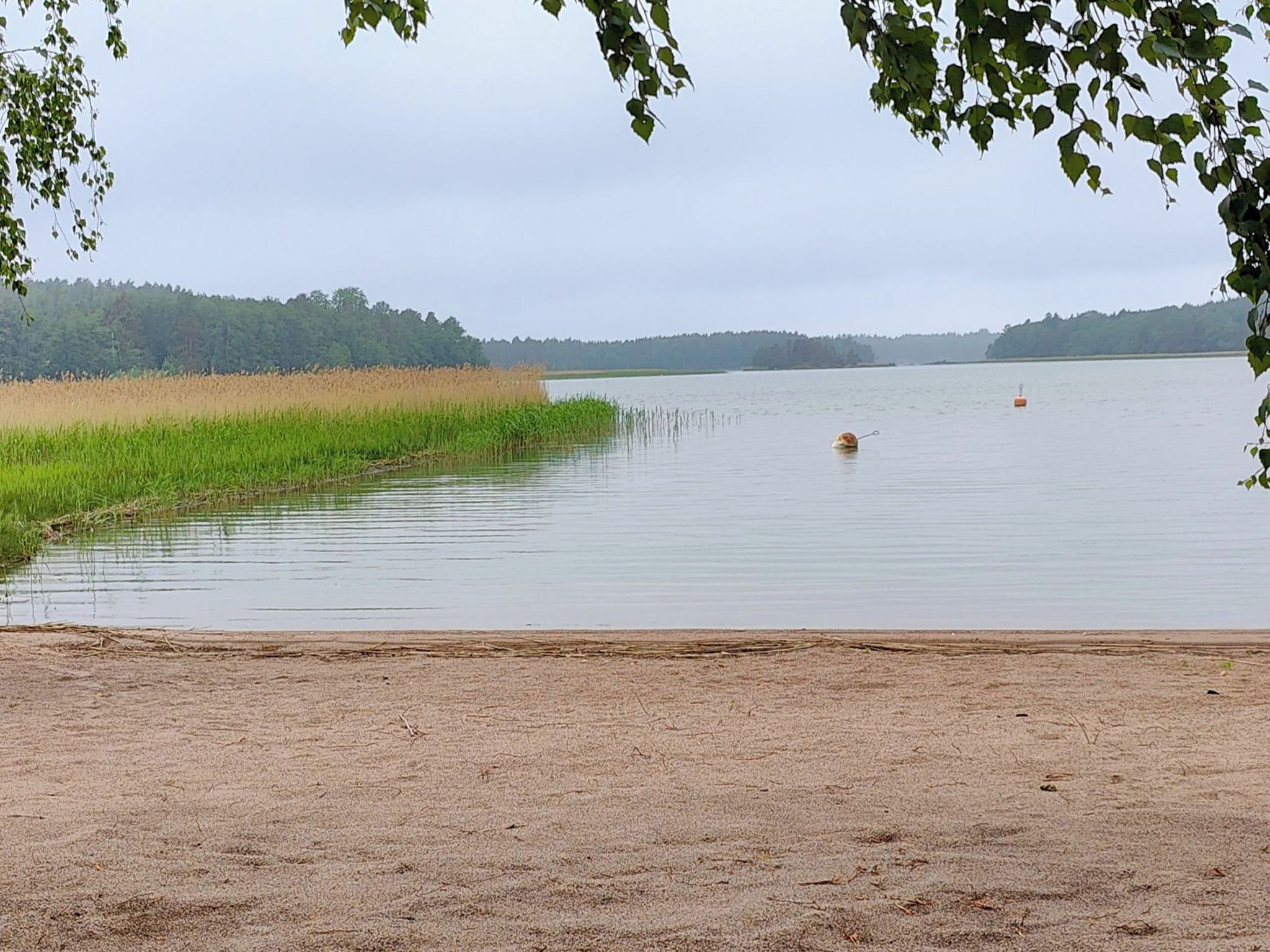 A calm lake with a sandy shore and a distant forest.