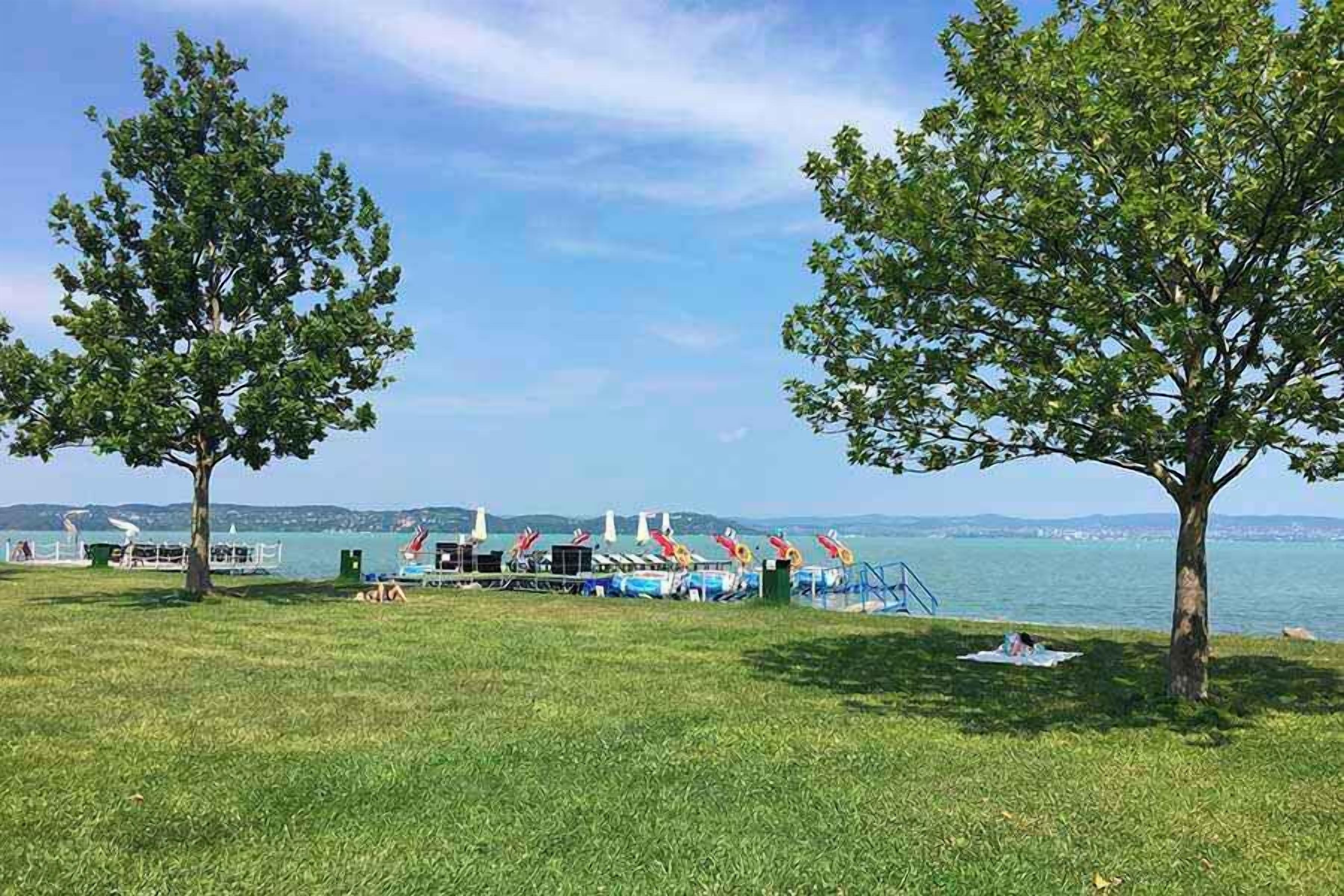 A grassy area with two trees, a dock with boats, and a view of the water.