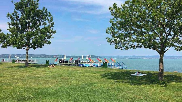 A grassy area with two trees, a dock with boats, and a view of the water. - Holiday apartment with Wi-Fi, air conditioning, balcony and parking (Zamárdi)