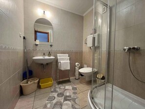 A bathroom with a glass shower enclosure, a sink, a toilet, and a mirror.