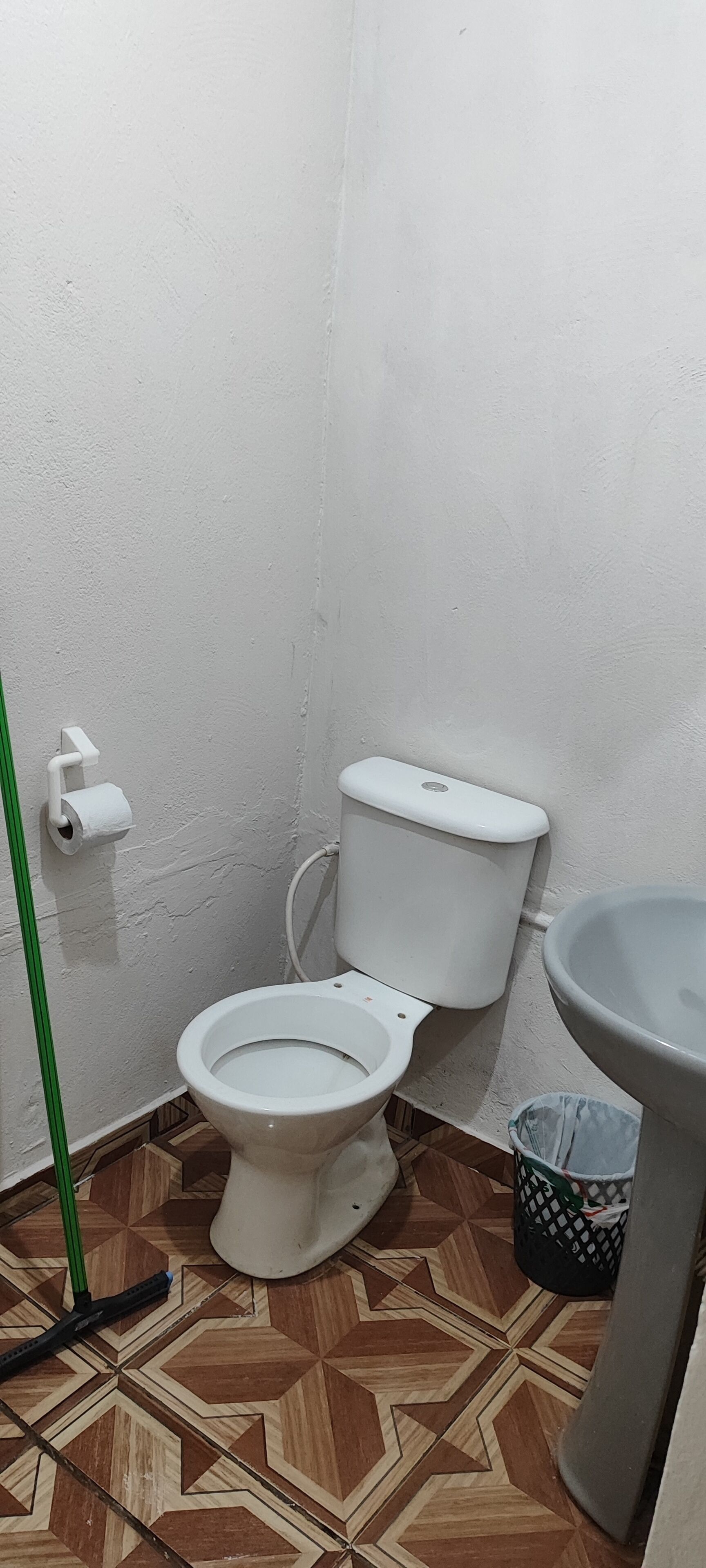 Shower, towels, toilet paper
