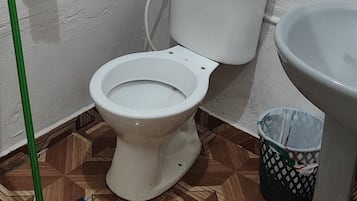 Shower, towels, toilet paper