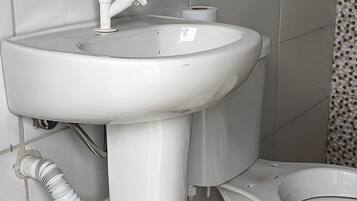 Shower, towels, toilet paper