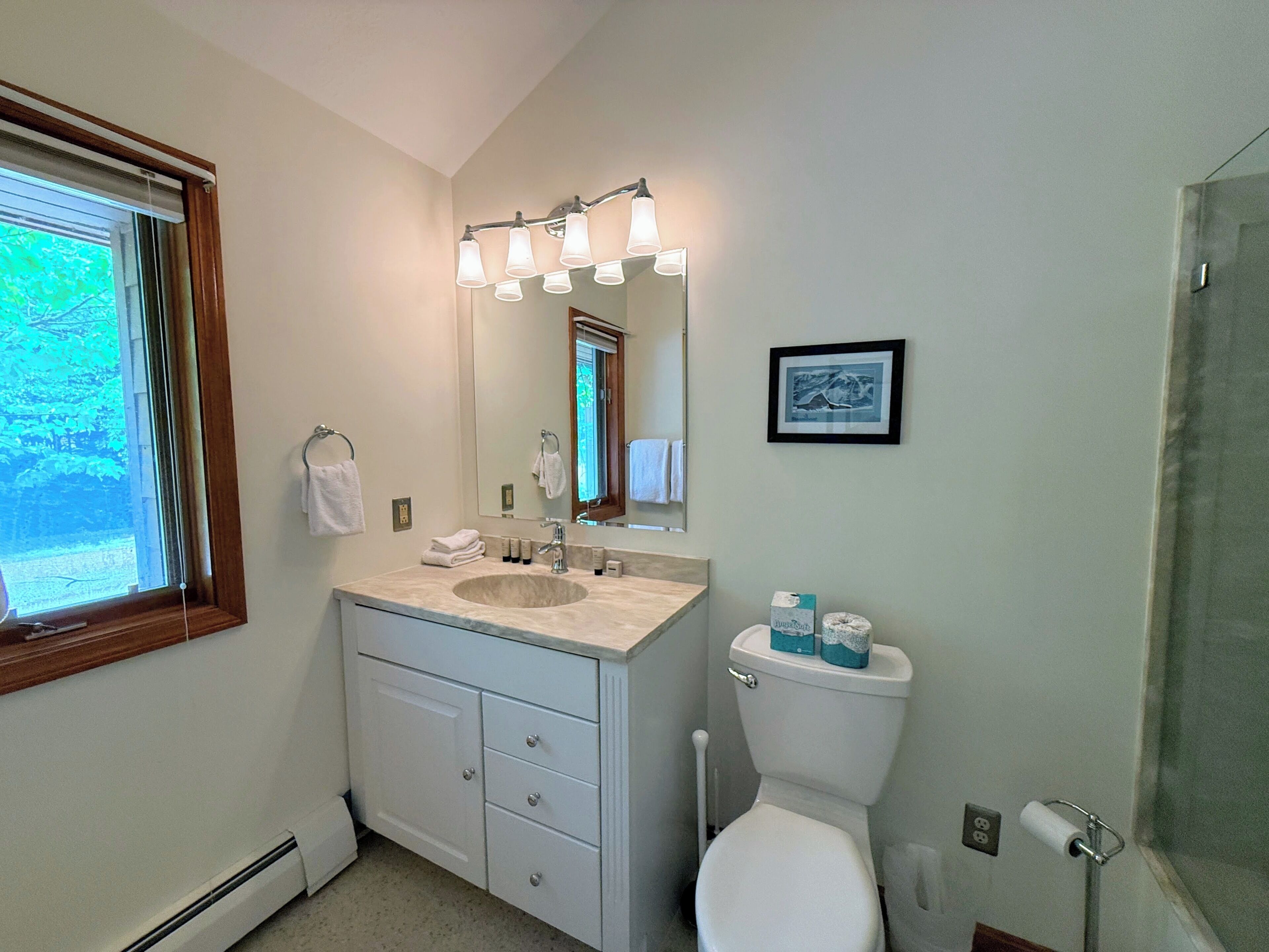 A bathroom with a sink, mirror, toilet, and a framed picture on the wall.