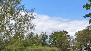 Ein ruhiger Wasserlauf mit dichter Vegetation an beiden Ufern, bewölkter Himmel und ein Gebäude in der Ferne.