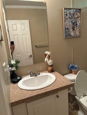 A bathroom with a white sink, a mirror, a toilet, and a framed floral artwork on the wall.