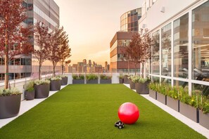 A rooftop garden with artificial grass, potted plants, and exercise equipment. - Blueground | Financial District, pool, nr Brooklyn Bridge (New York)