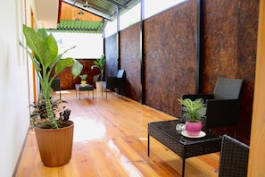 A wooden-floored room with a large potted plant, a small table, and two chairs.