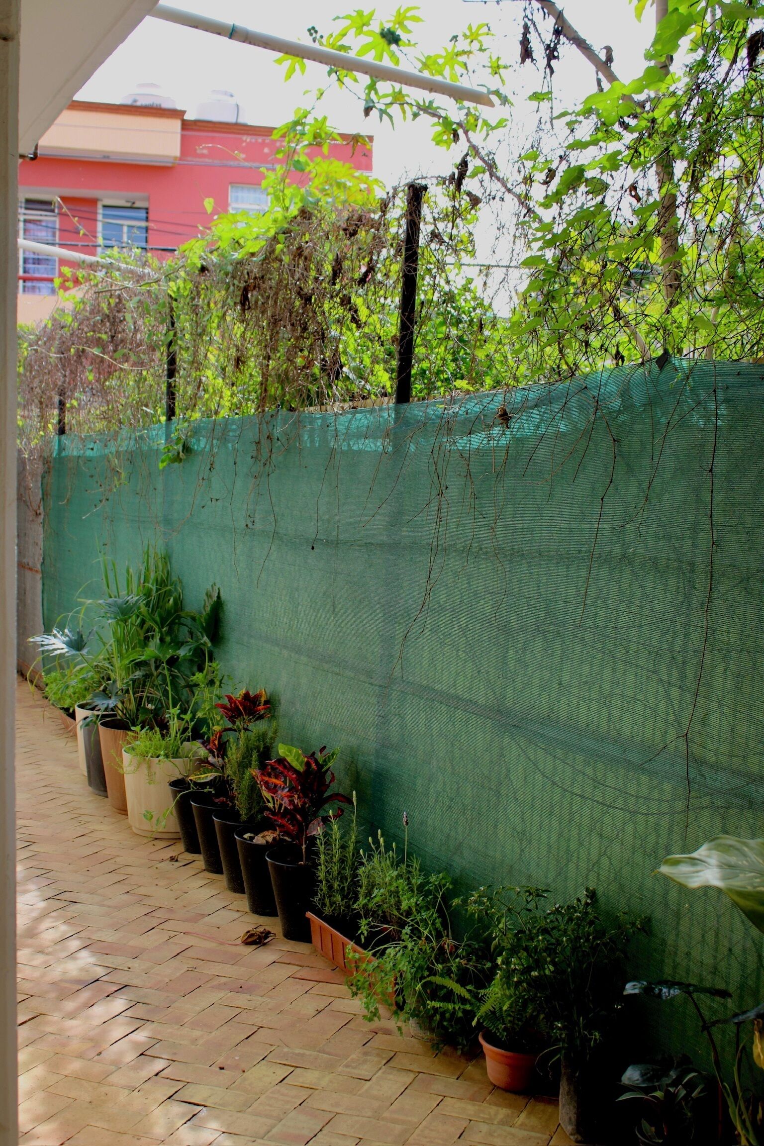 A brick-paved outdoor area with potted plants and a green mesh fence.