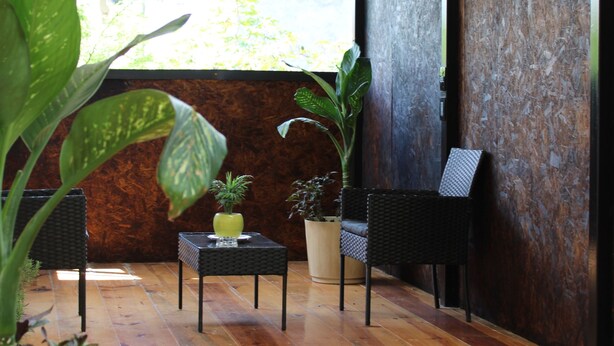 A covered patio area with wooden flooring, potted plants, and black wicker furniture. - Luffa Hostel (Oaxaca)